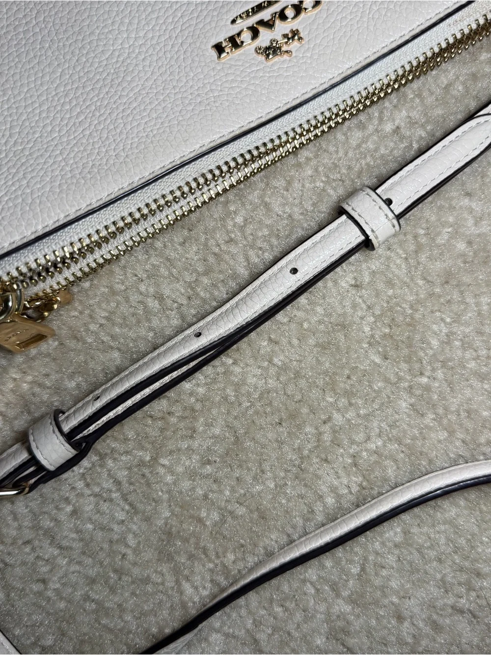 Coach Pebble Leather Lyla Crossbody Shoulder Purse Bag Clutch White F38173